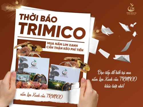 ĐIỀU GÌ LÀM NÊN SỰ KHÁC BIỆT CỦA NẤM LIM XANH TRIMICO?